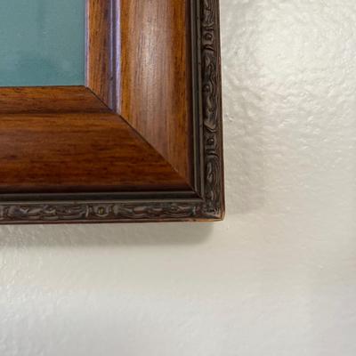 Canvas Backed Duck Print Audubon Plate (LR-BC)