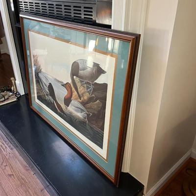 Canvas Backed Duck Print Audubon Plate (LR-BC)