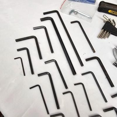 Assorted Standard, Metric & Allen Wrenches (DG-JS)