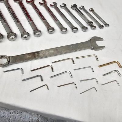 Assorted Standard, Metric & Allen Wrenches (DG-JS)