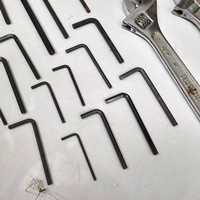 Assorted Standard, Metric & Allen Wrenches (DG-JS)