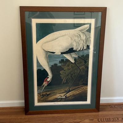 Large Hooping Crane Print in Wooden Frame (LR-SF)