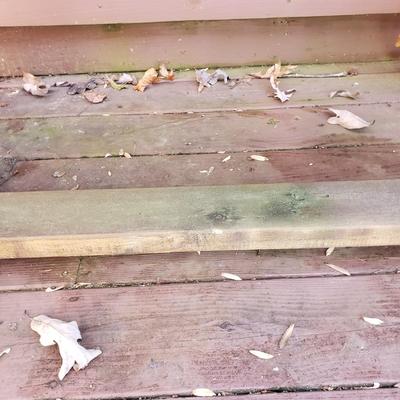 Long Wooden Bench (UD-KD)