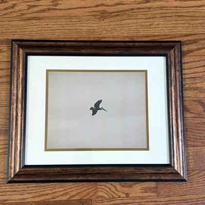 Set of Three Framed Nature Photographs (LR-SF)