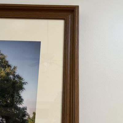 Set of Three Framed Nature Photographs (LR-SF)