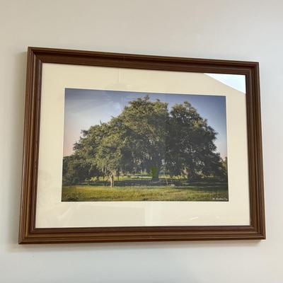 Set of Three Framed Nature Photographs (LR-SF)