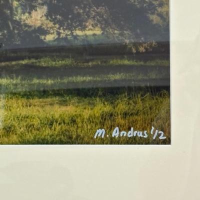 Set of Three Framed Nature Photographs (LR-SF)