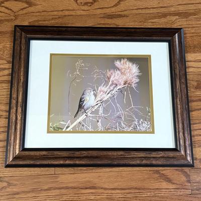 Set of Three Framed Nature Photographs (LR-SF)