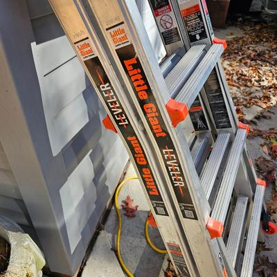 Little Giant Leveler Ladder (DG-JS)