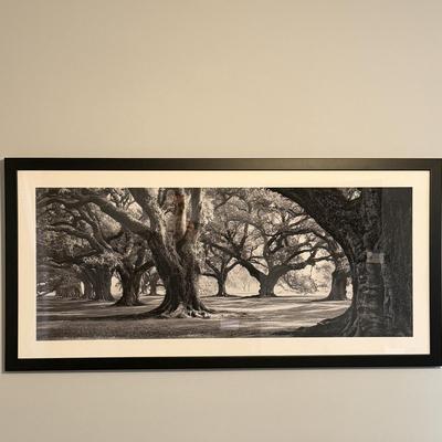 Wooden Framed Print (GB-MG)