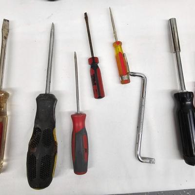 Flat Head & Phillips Screwdrivers (DG-JS)