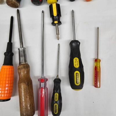 Flat Head & Phillips Screwdrivers (DG-JS)