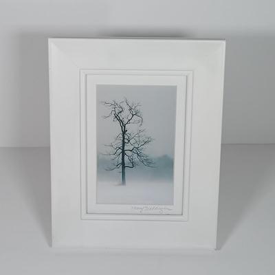 LOT 24: Collection of Handmade Pottery Art with Insect Ornaments & Signed Photo Art