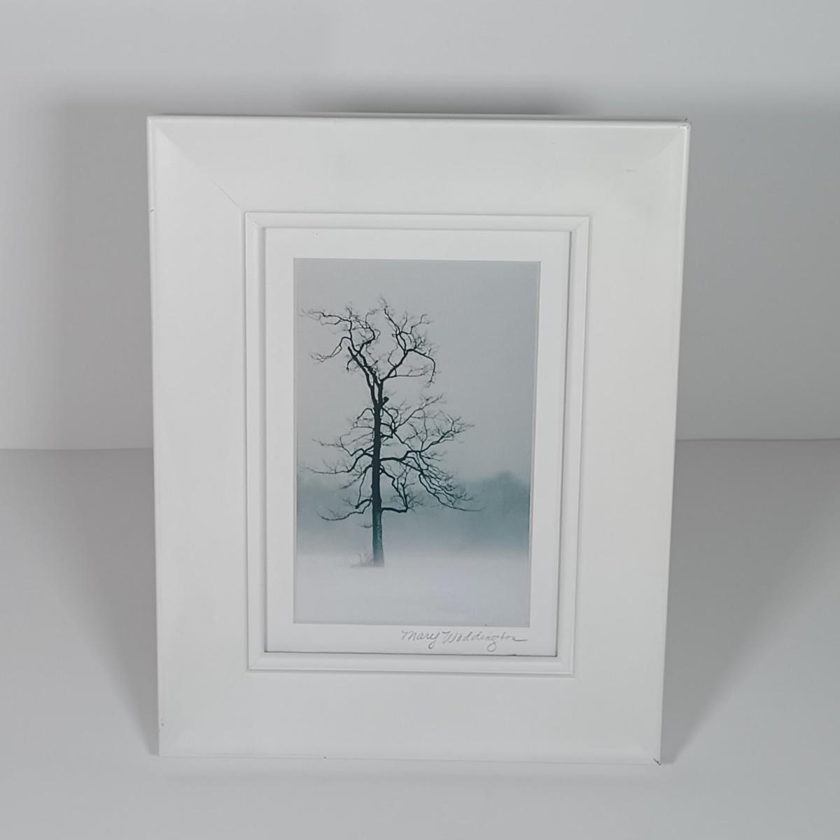 Sale Photo Thumbnail #400