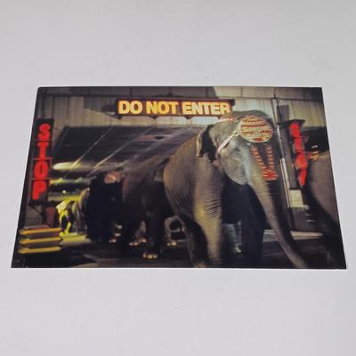 LOT 116: Elephant Themed Ornaments and Home Decor