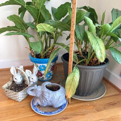 LOT 179: Pair of Live House Plants in Planters with Elephant and Bunny Planters