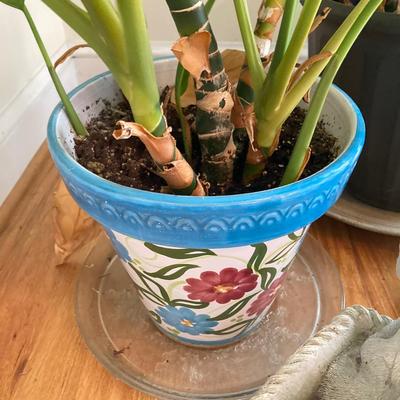 LOT 179: Pair of Live House Plants in Planters with Elephant and Bunny Planters