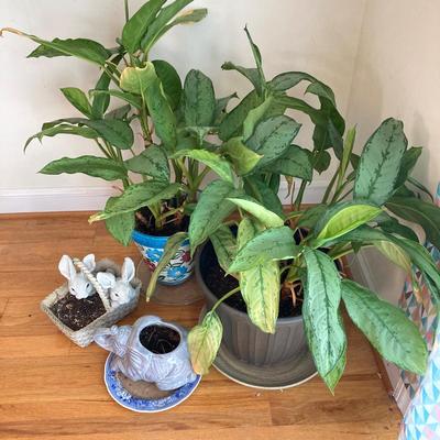 LOT 179: Pair of Live House Plants in Planters with Elephant and Bunny Planters