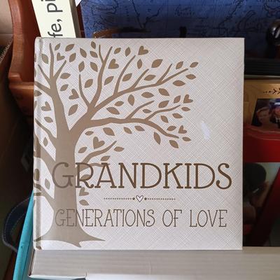 LOT 193: Home Decor Collection - Kate Spade Writing Set, William Sonoma Throw Pillows, Photo Albums & More