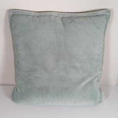 LOT 194: Set of (2) Ugg Light Green Micro Plush Pillows