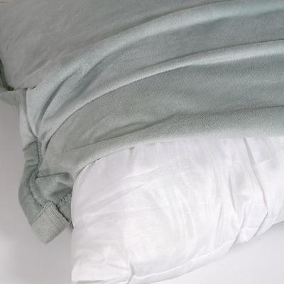 LOT 194: Set of (2) Ugg Light Green Micro Plush Pillows