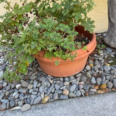 Sale Photo Thumbnail #246