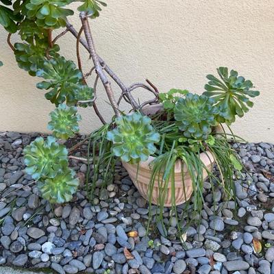 Sale Photo Thumbnail #247