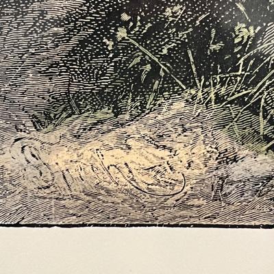 Old World Prints - Barbary Lion & Giraffe (BLR-RG)