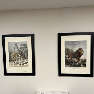 Old World Prints - Barbary Lion & Giraffe (BLR-RG)