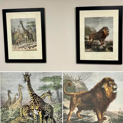 Old World Prints - Barbary Lion & Giraffe (BLR-RG)
