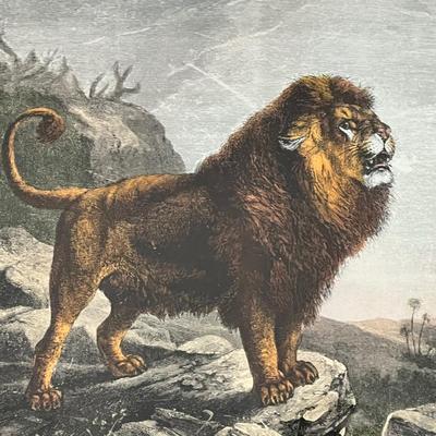 Old World Prints - Barbary Lion & Giraffe (BLR-RG)
