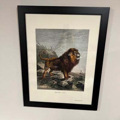 Old World Prints - Barbary Lion & Giraffe (BLR-RG)
