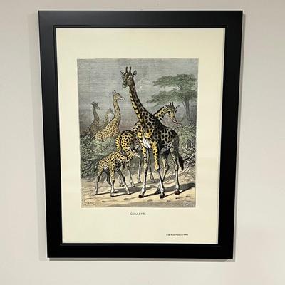 Old World Prints - Barbary Lion & Giraffe (BLR-RG)