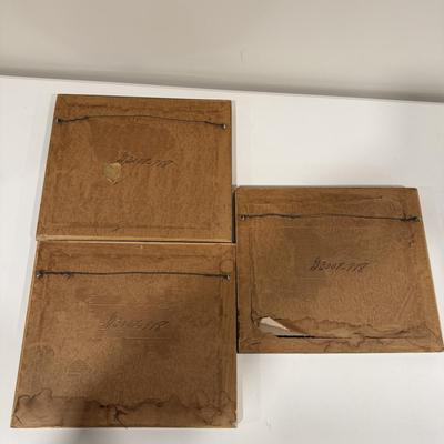 Three Framed Roman Countryside Etchings (BLR-MG)