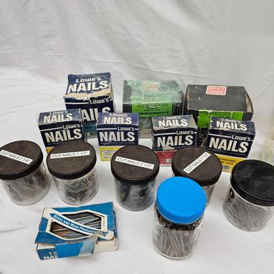 Assorted of Nails & Screws (DG-JS)