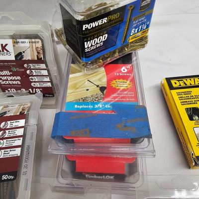 Assorted of Nails & Screws (DG-JS)