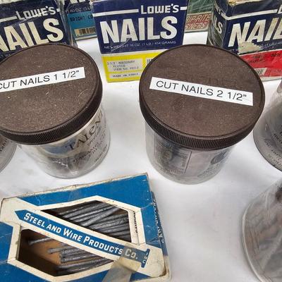 Assorted of Nails & Screws (DG-JS)