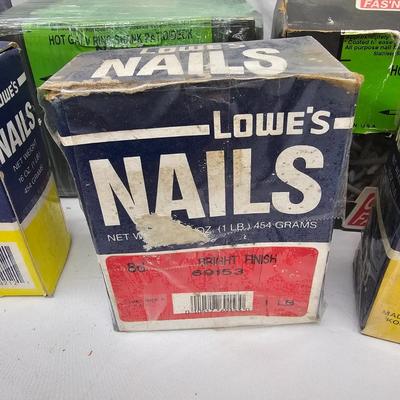 Assorted of Nails & Screws (DG-JS)