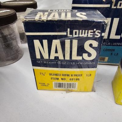 Assorted of Nails & Screws (DG-JS)