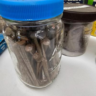 Assorted of Nails & Screws (DG-JS)