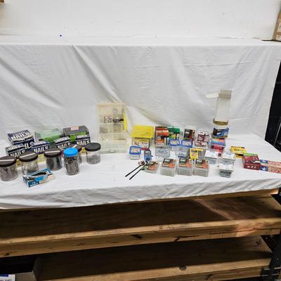 Assorted of Nails & Screws (DG-JS)