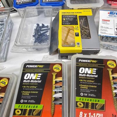 Assorted of Nails & Screws (DG-JS)