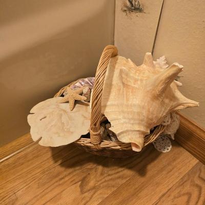 Basket of shells