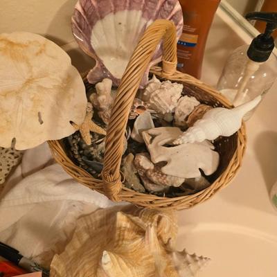 Basket of shells