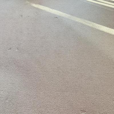 LOT 129F: HUGE Original Custom Masland Rug