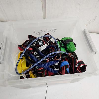 Ratchet Strap/Bungie Cord Assortment (G-JS)