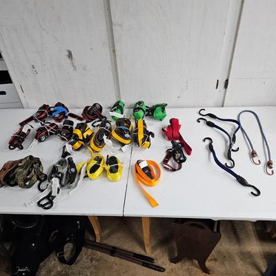 Ratchet Strap/Bungie Cord Assortment (G-JS)