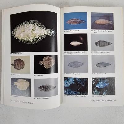 Assorted Fishing & Fly-Fishing Gear (BLR-JS)