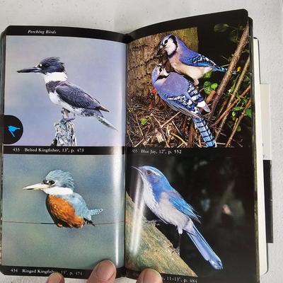 Game Calls, Gun Cleaning Items, Miscellaneous Hunting Gear (BLR-JS)