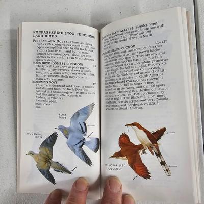 Game Calls, Gun Cleaning Items, Miscellaneous Hunting Gear (BLR-JS)